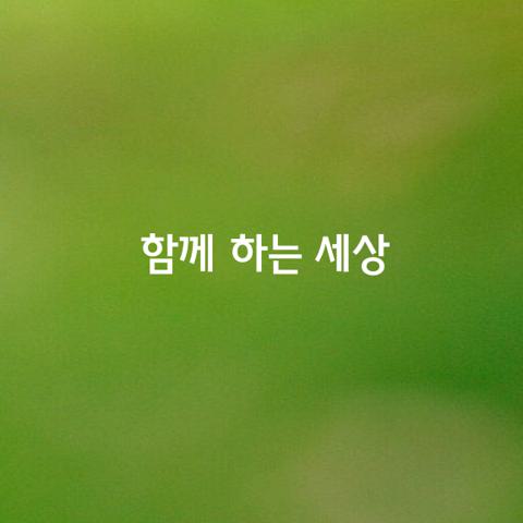 함께 하는 세상