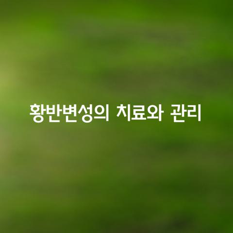 황반변성