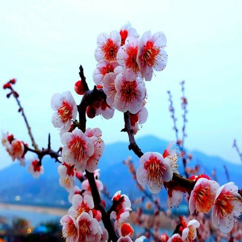 회상 박기준