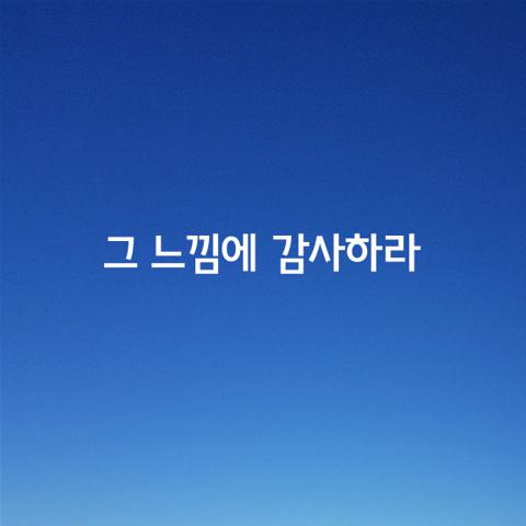 흔들리고 아프고 외로운 것은