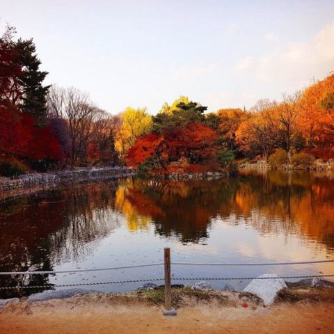 가을 사랑 김선화