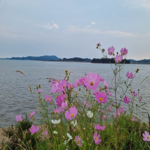 가을 풍경 김성수