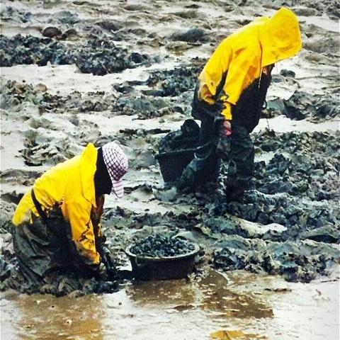 갯벌 여정 최보경