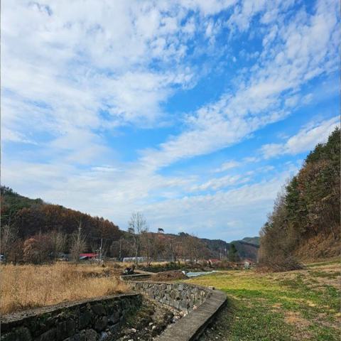 겨울의 문턱에서 김선화