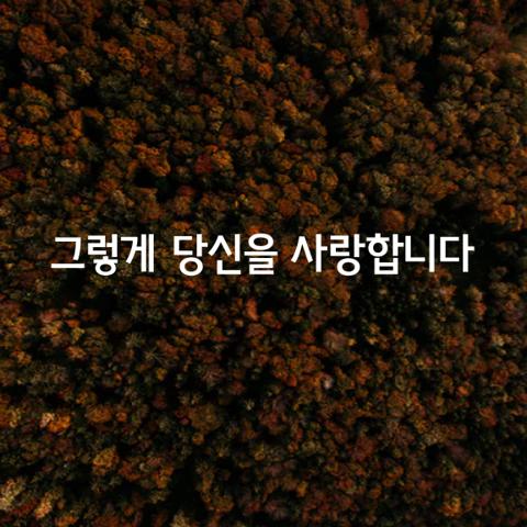 나 그렇게 당신을 사랑합니다