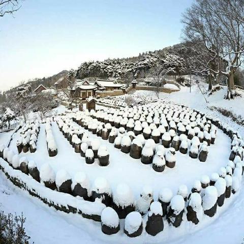 달력을 지우며 김경림