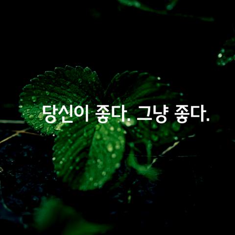 당신이 좋다 그냥 좋다