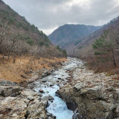 멀고도 먼 길 김미송