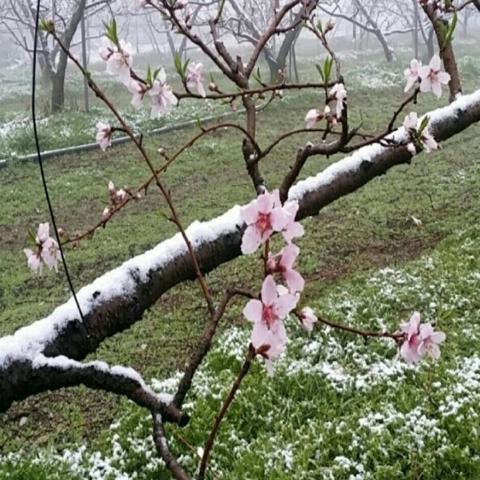 바람의 흔적 안귀숙