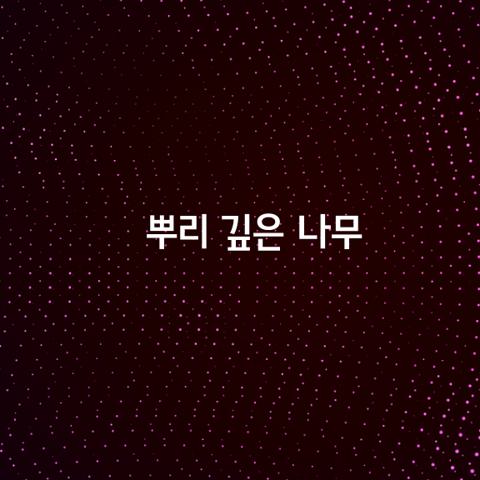 뿌리 깊은 나무