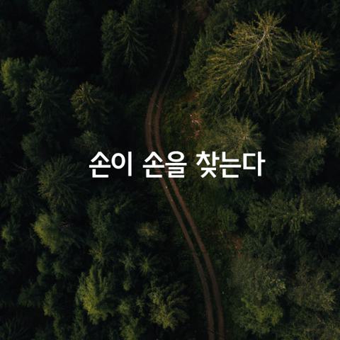 손이 손을 찾는다