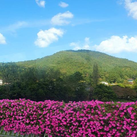 스산한 가을바람 나영민