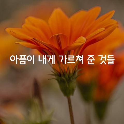 아픔이 내게 가르쳐 준 것들