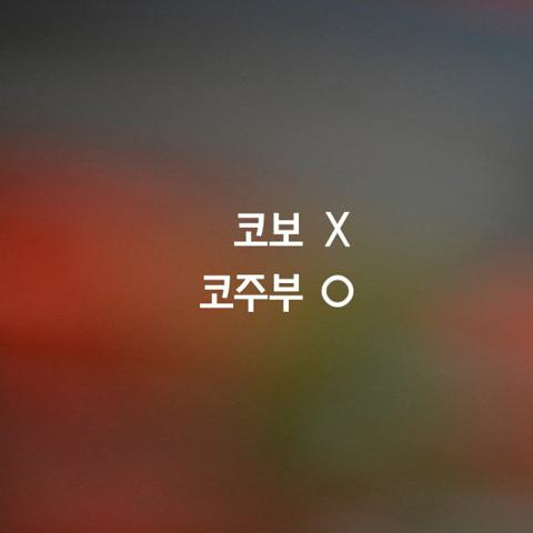 알쏭달쏭 우리말