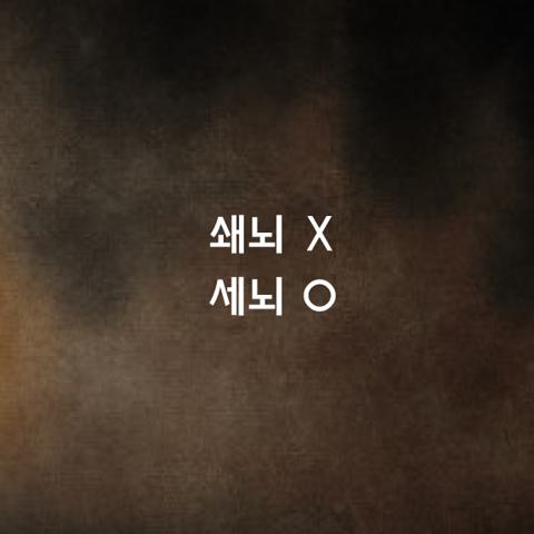 알쏭달쏭 우리말