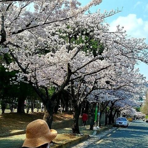 연둣빛 선물 김경림