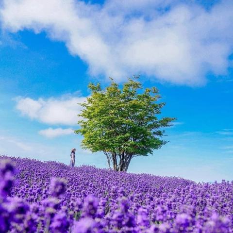 오 계절 안광수