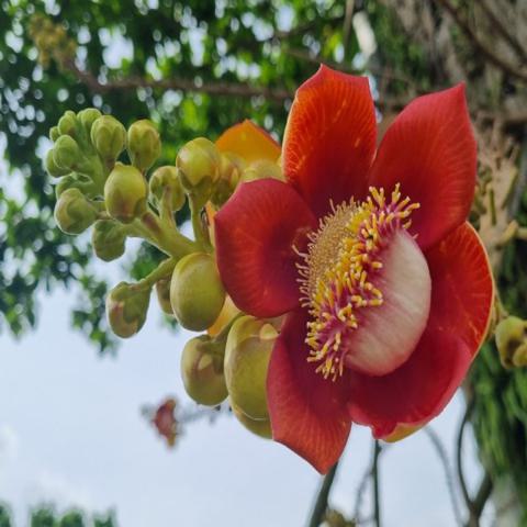 오직 당신임을 백승운