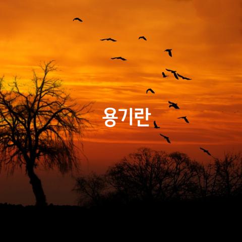 용기란