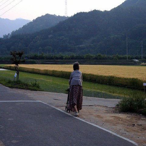 유모차 나동수