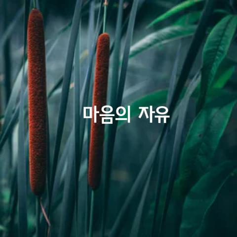 인간에게 가장 무서운 병이 있습니다