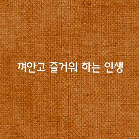 인생이란 껴안고 즐거워 하는 것