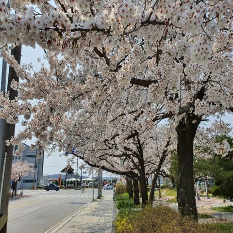 좋은 사람 만나요 신상철