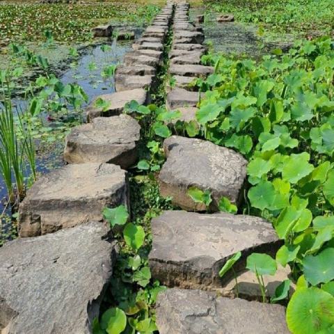 할 수 있어요 안광수