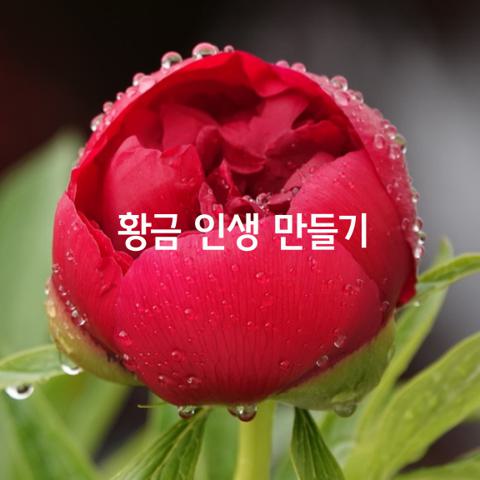 황금 인생을 만드는 다섯가지